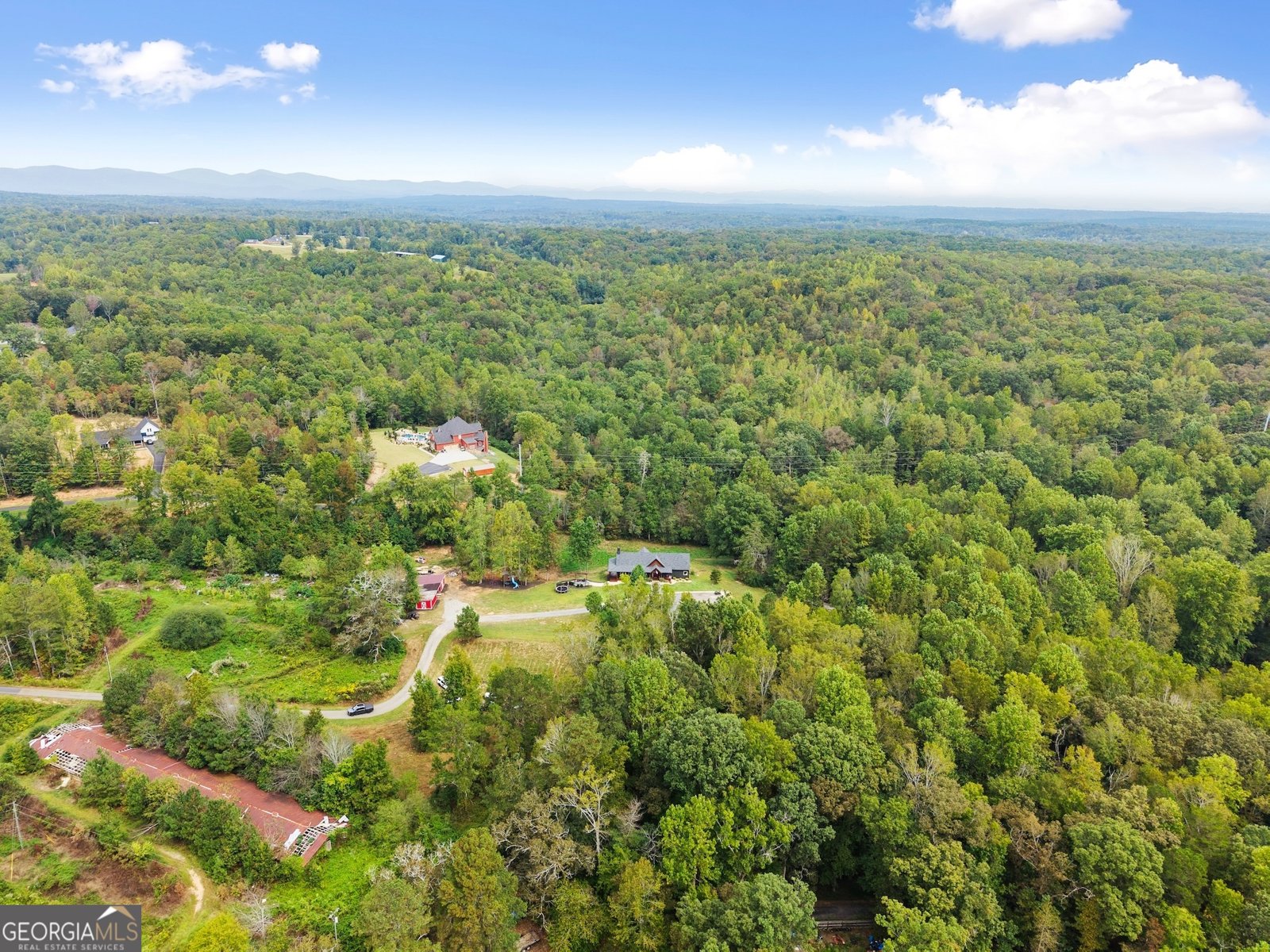 166 Elliott Family Parkway Dawsonville - 69