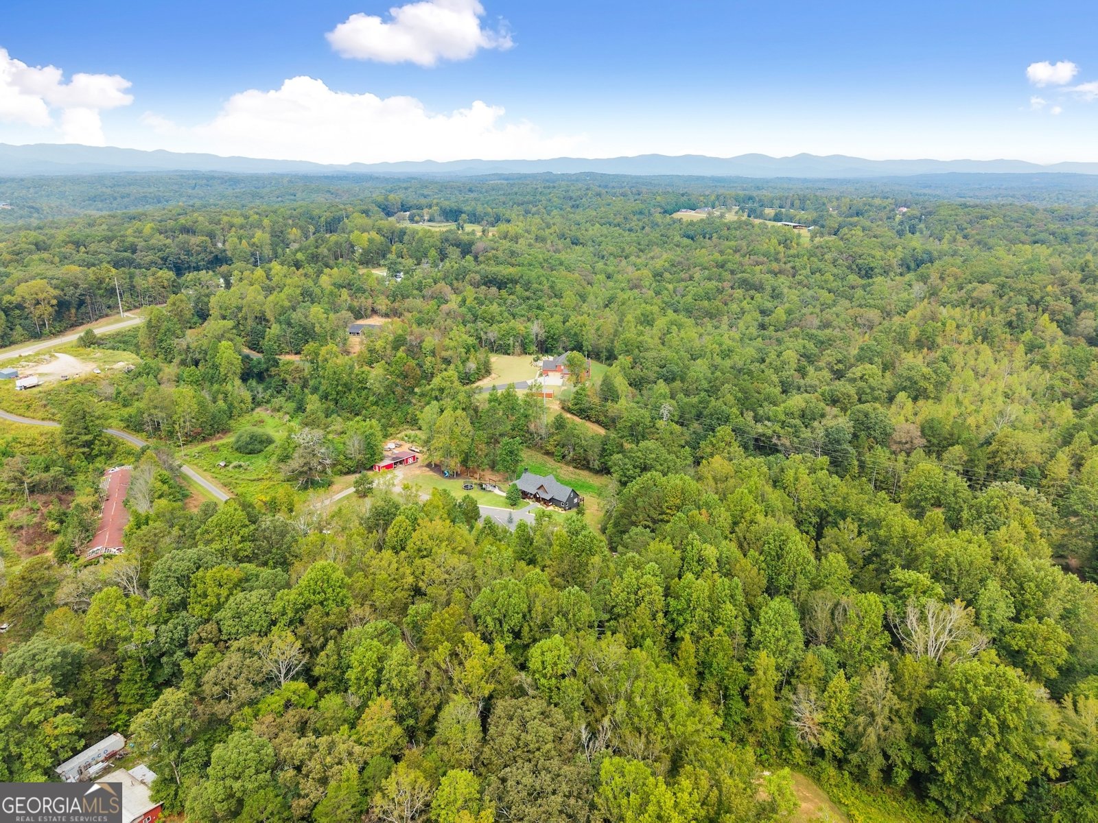 166 Elliott Family Parkway Dawsonville - 71