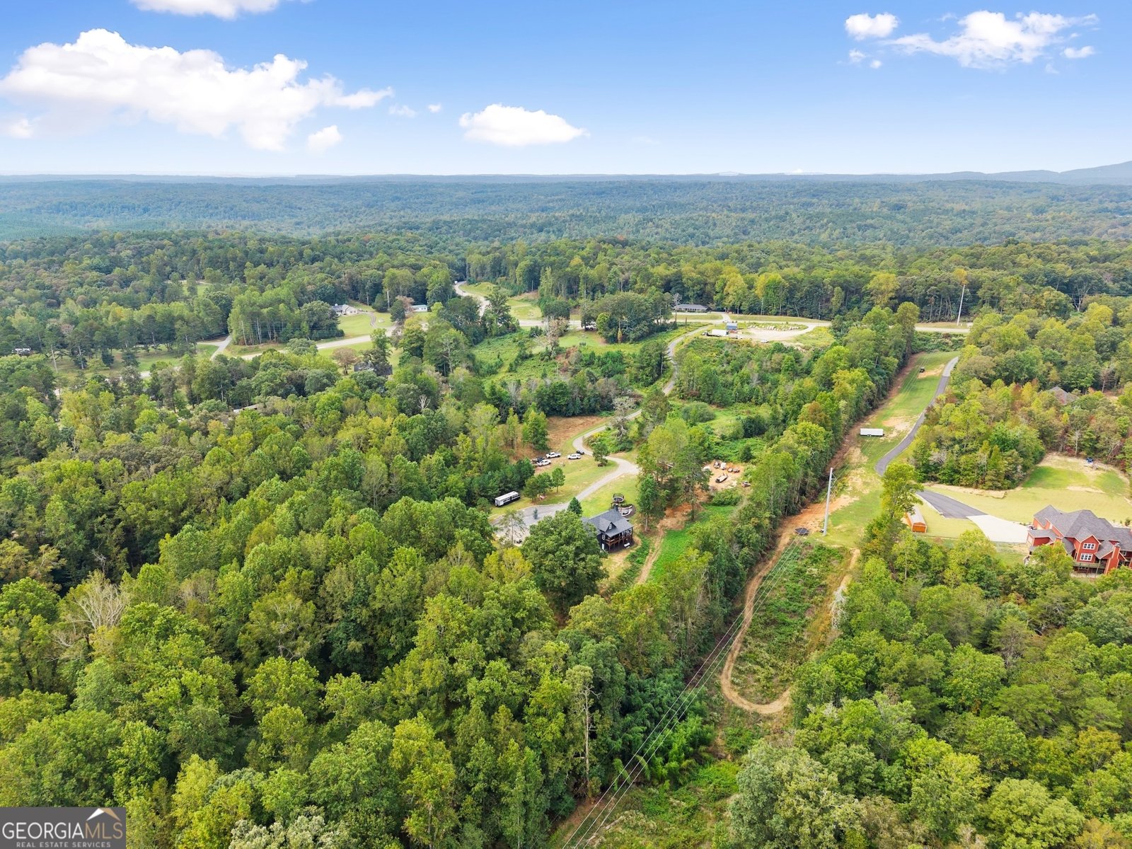 166 Elliott Family Parkway Dawsonville - 73