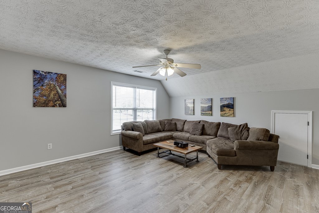 4212 Gold Springs Lane Hoschton - 10
