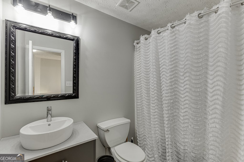 4212 Gold Springs Lane Hoschton - 13