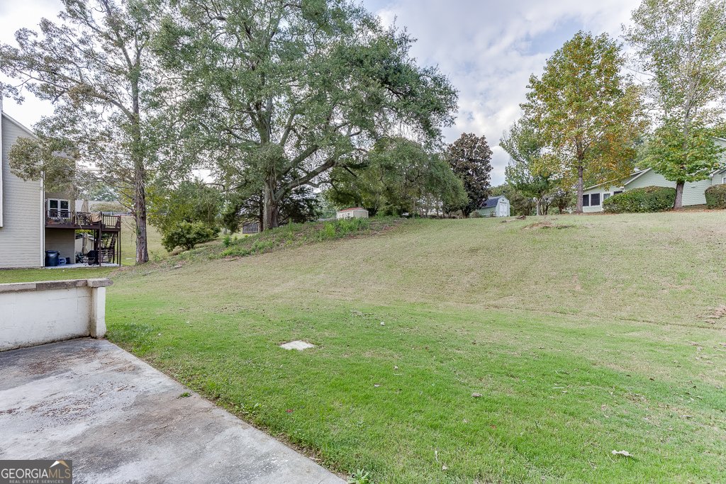 4212 Gold Springs Lane Hoschton - 18