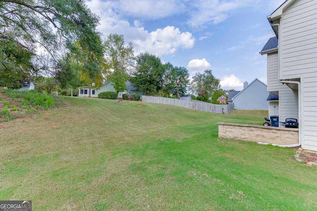 4212 Gold Springs Lane Hoschton - 19