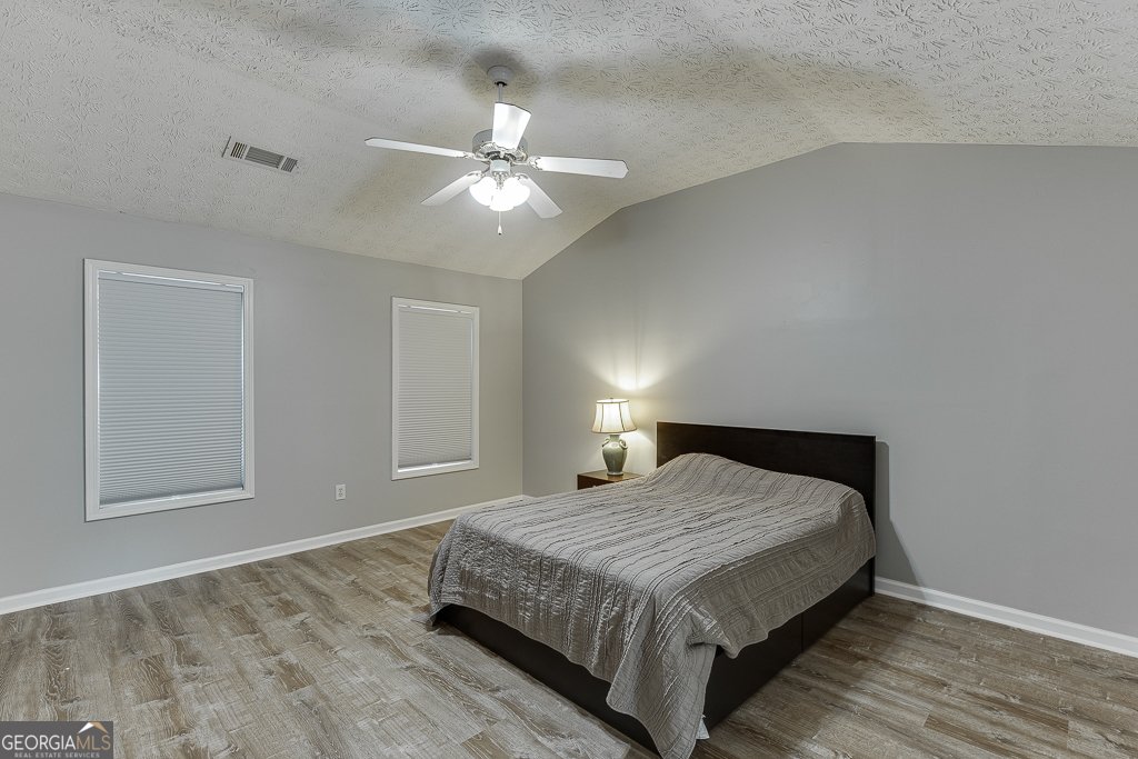 4212 Gold Springs Lane Hoschton - 3