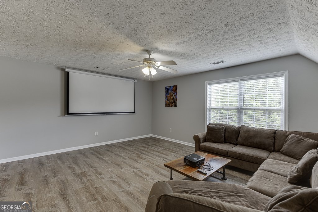 4212 Gold Springs Lane Hoschton - 8