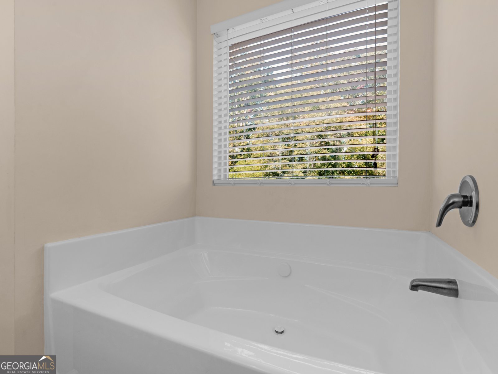 315 Clover Brook Drive Locust Grove - 28