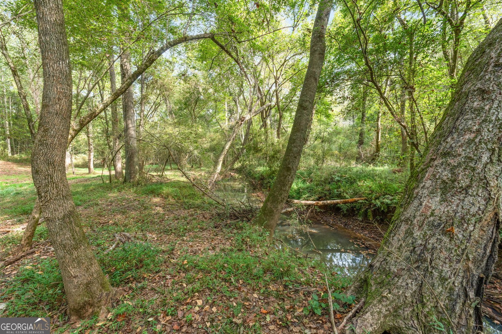 210 Hidden Falls Wlk Griffin - 42