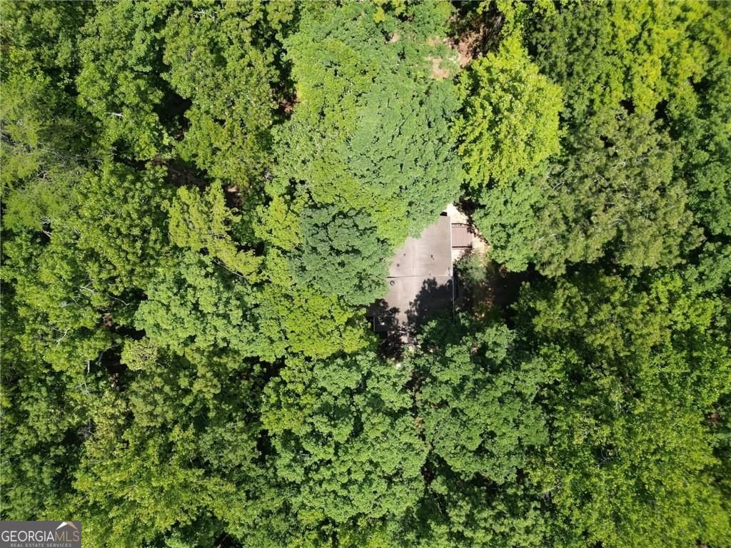 200 Cherokee Drive Waleska - 14