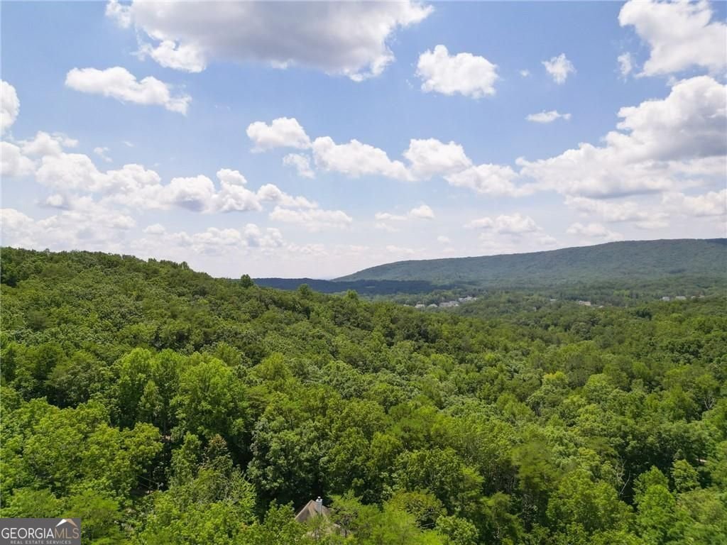 200 Cherokee Drive Waleska - 15
