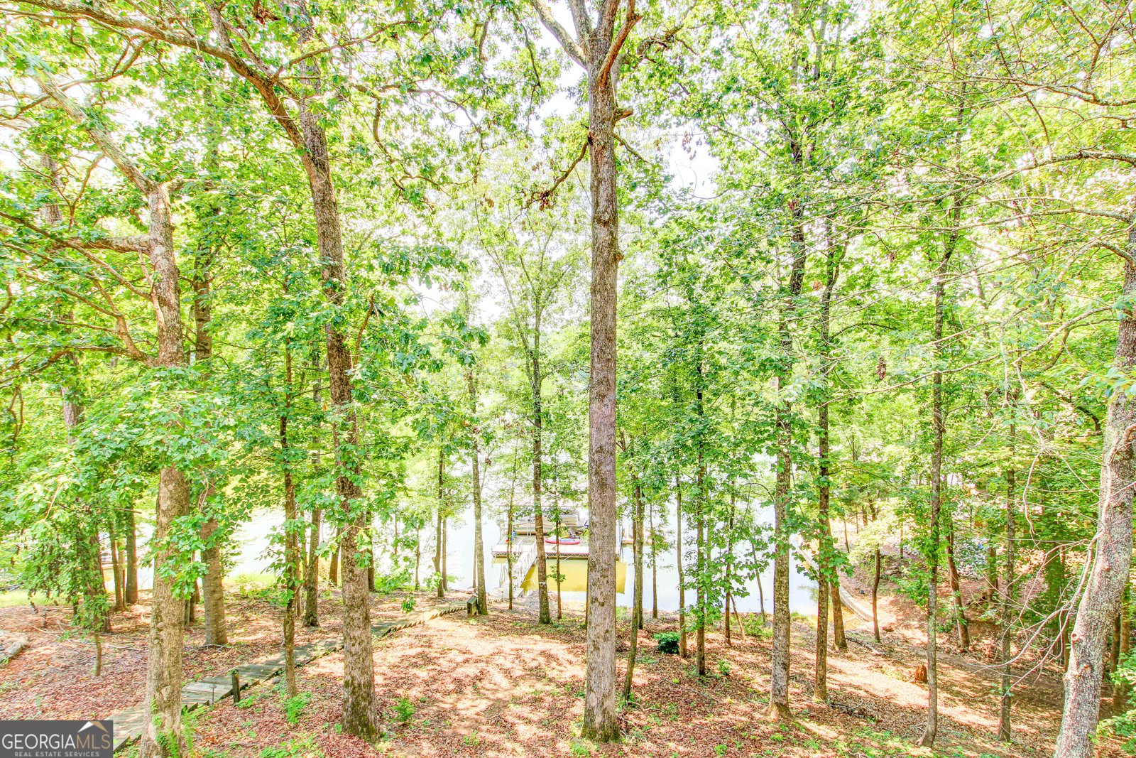 358 Muffit Drive Wedowee - 20