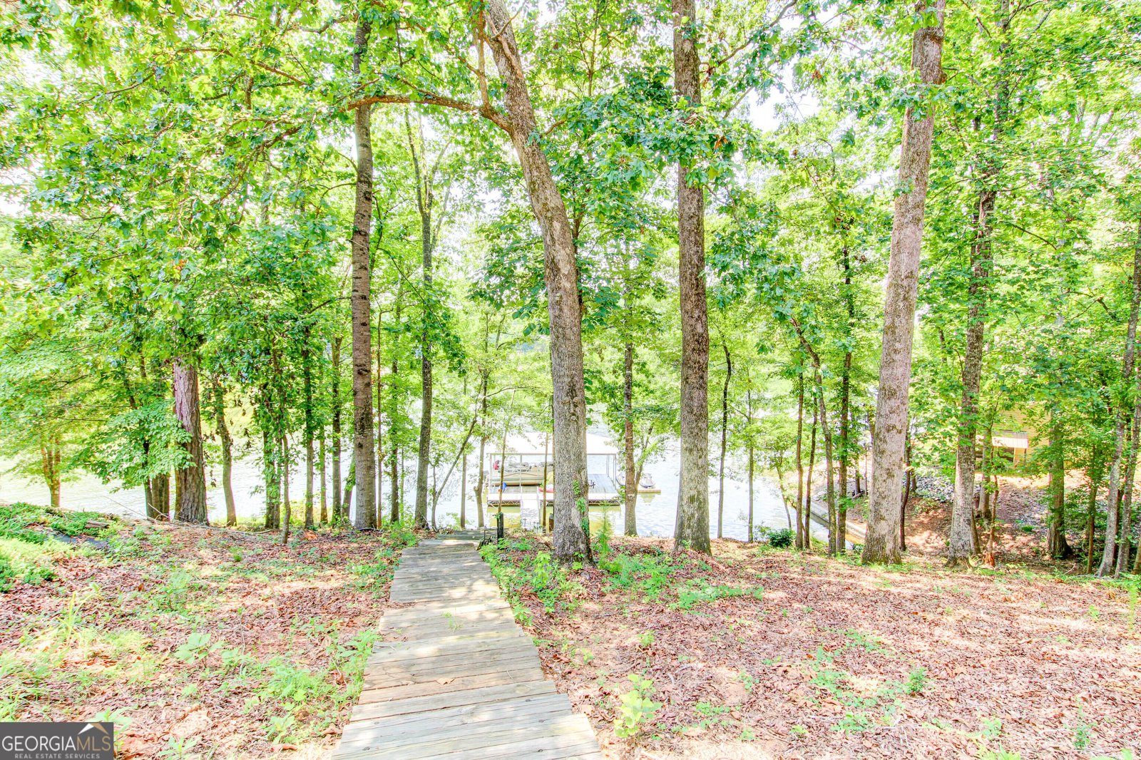 358 Muffit Drive Wedowee - 4