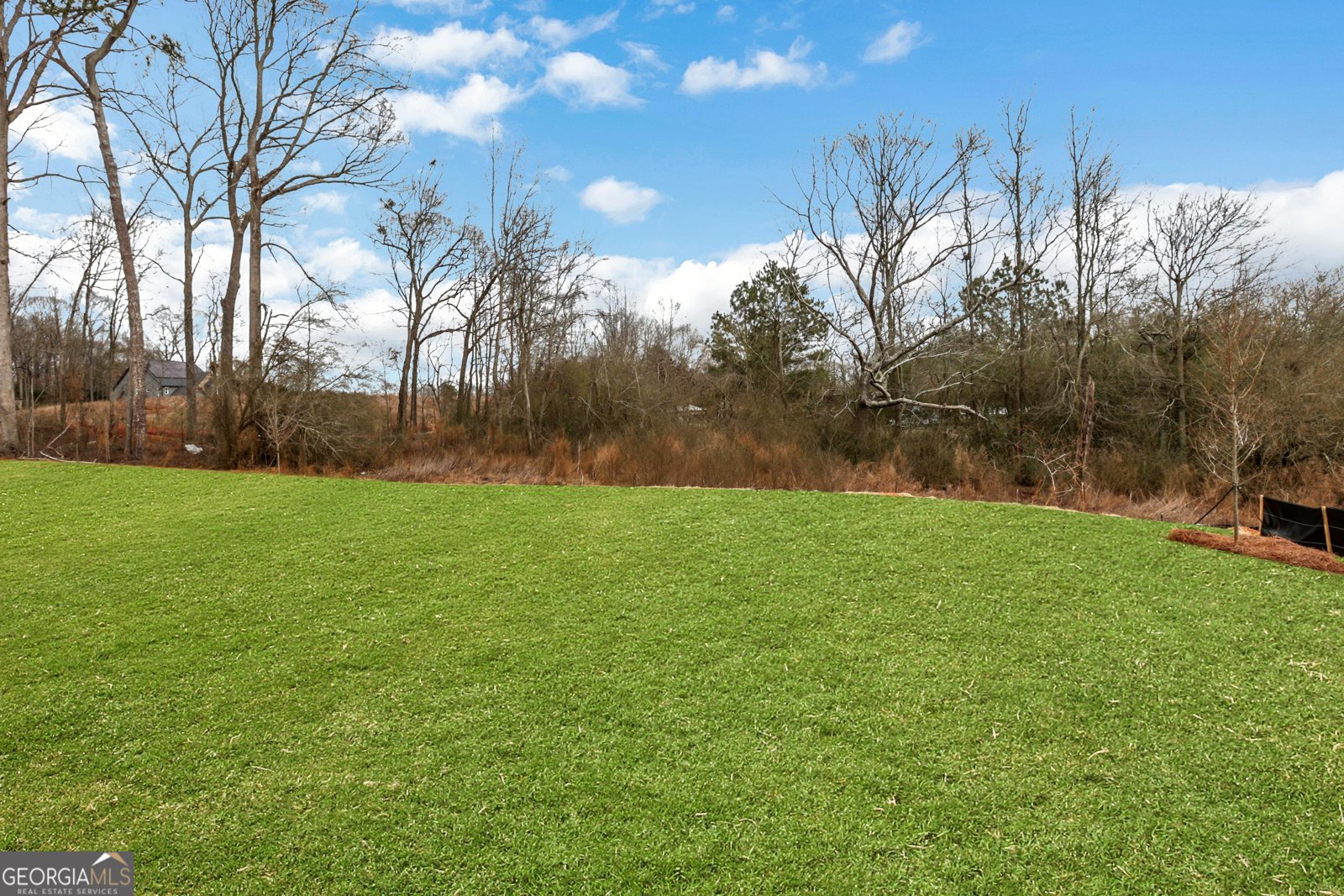 5890 Sweet Acacia Avenue Cumming - Photo 46