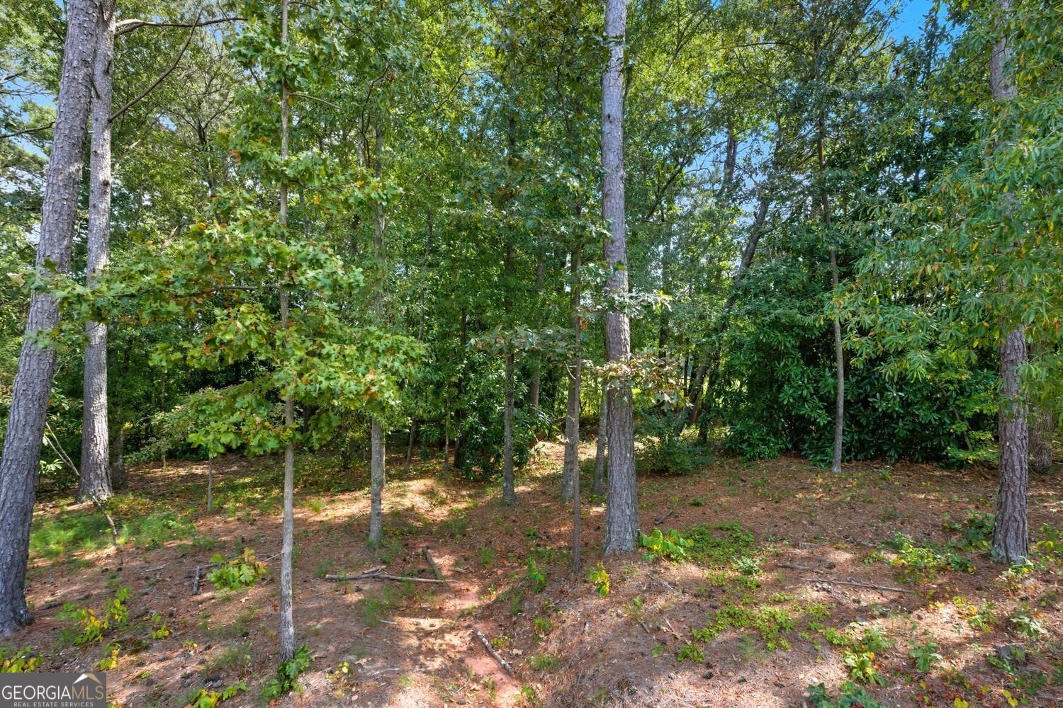 522 Eagles Nest Circle Auburn - 43