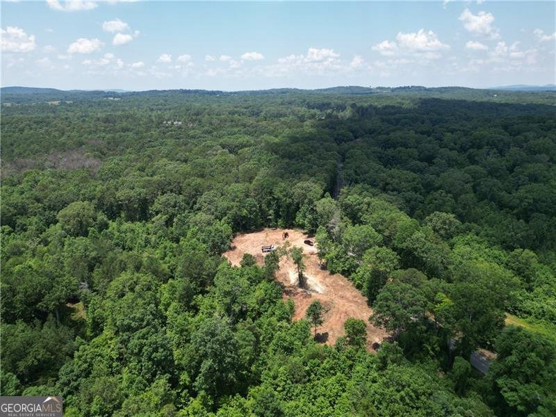 LOT 1 Roundtop Road Ellijay - Photo 6