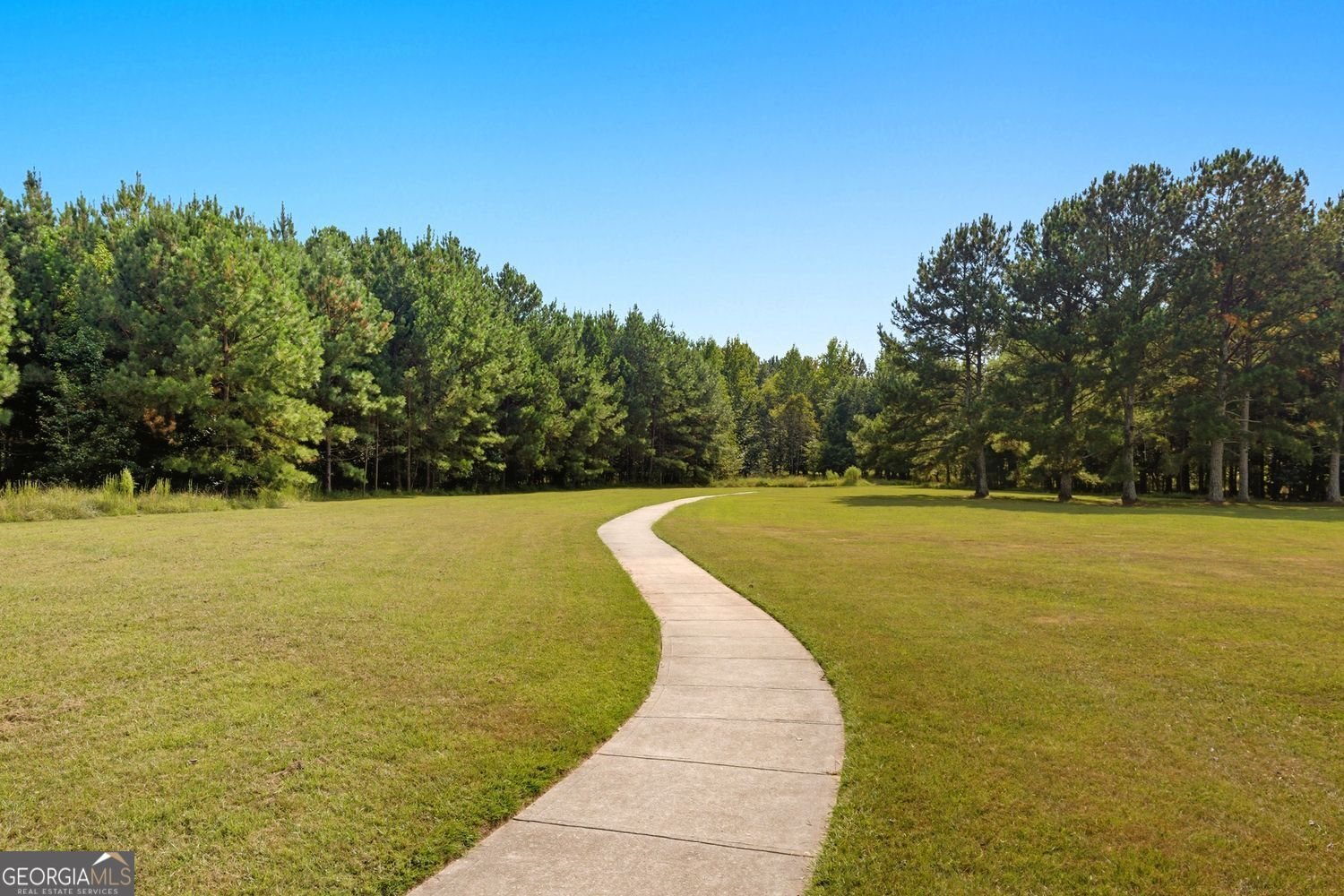 1094 Meadow Bluff Terrace Suwanee - 100