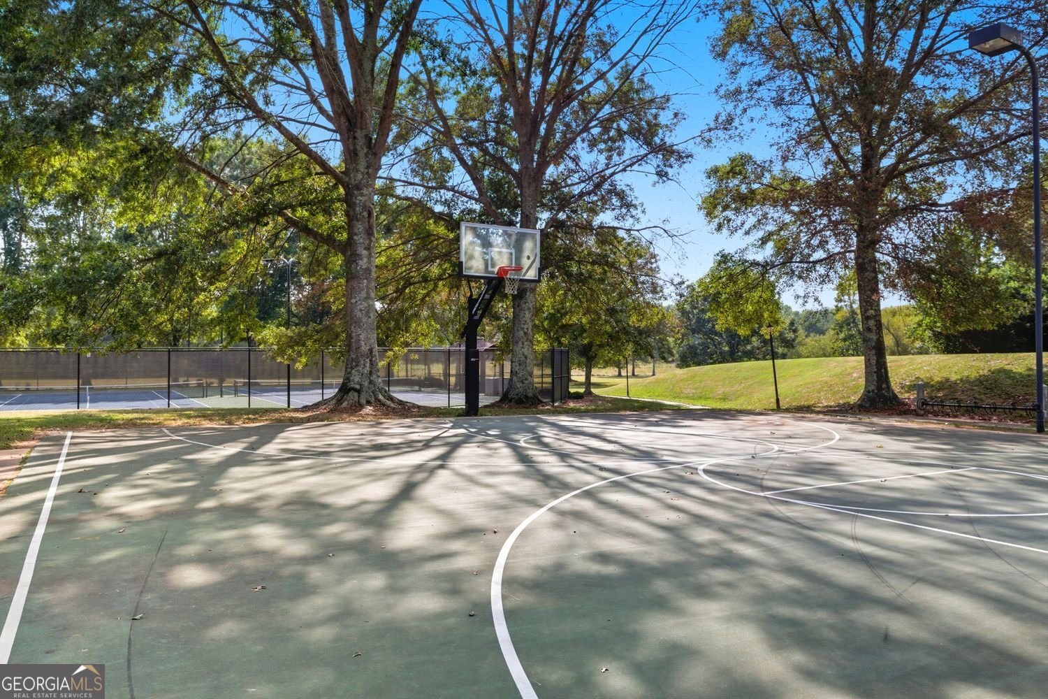 1094 Meadow Bluff Terrace Suwanee - 66