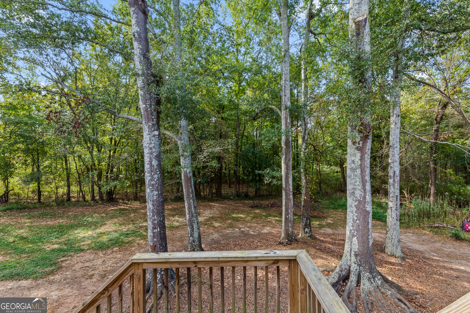 632 Ithica Gin Road Carrollton - 27