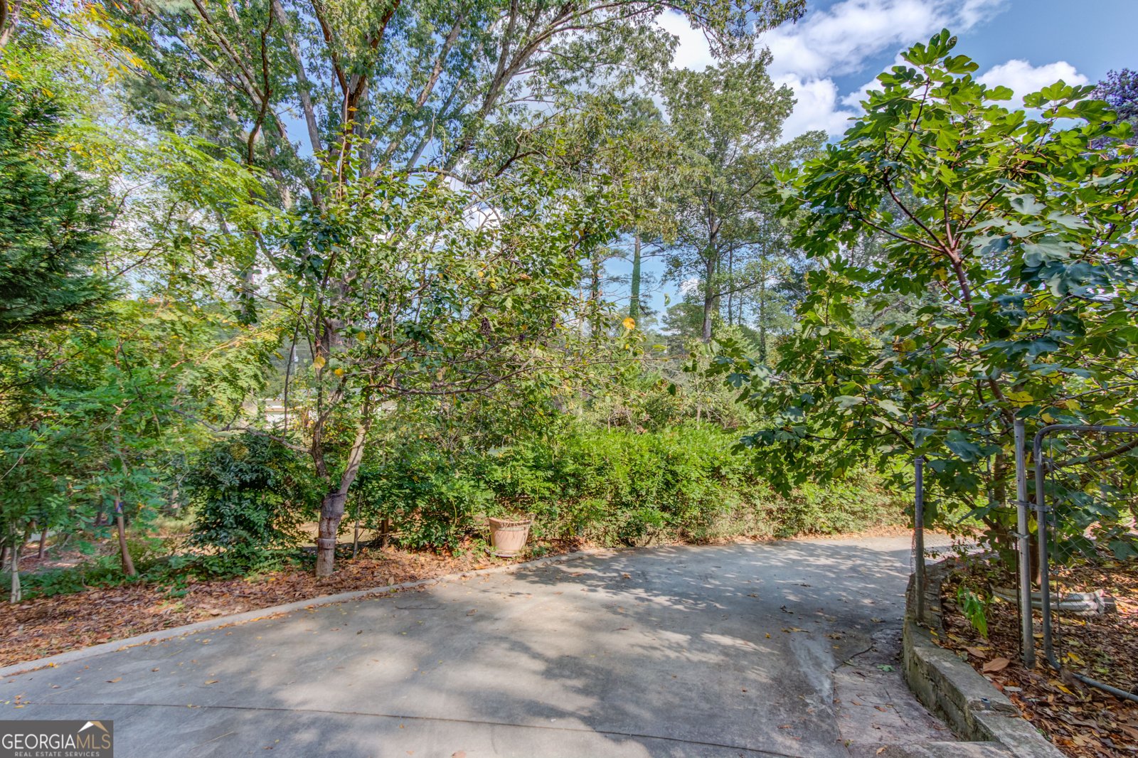 1349 Springwood Drive Conyers - 45