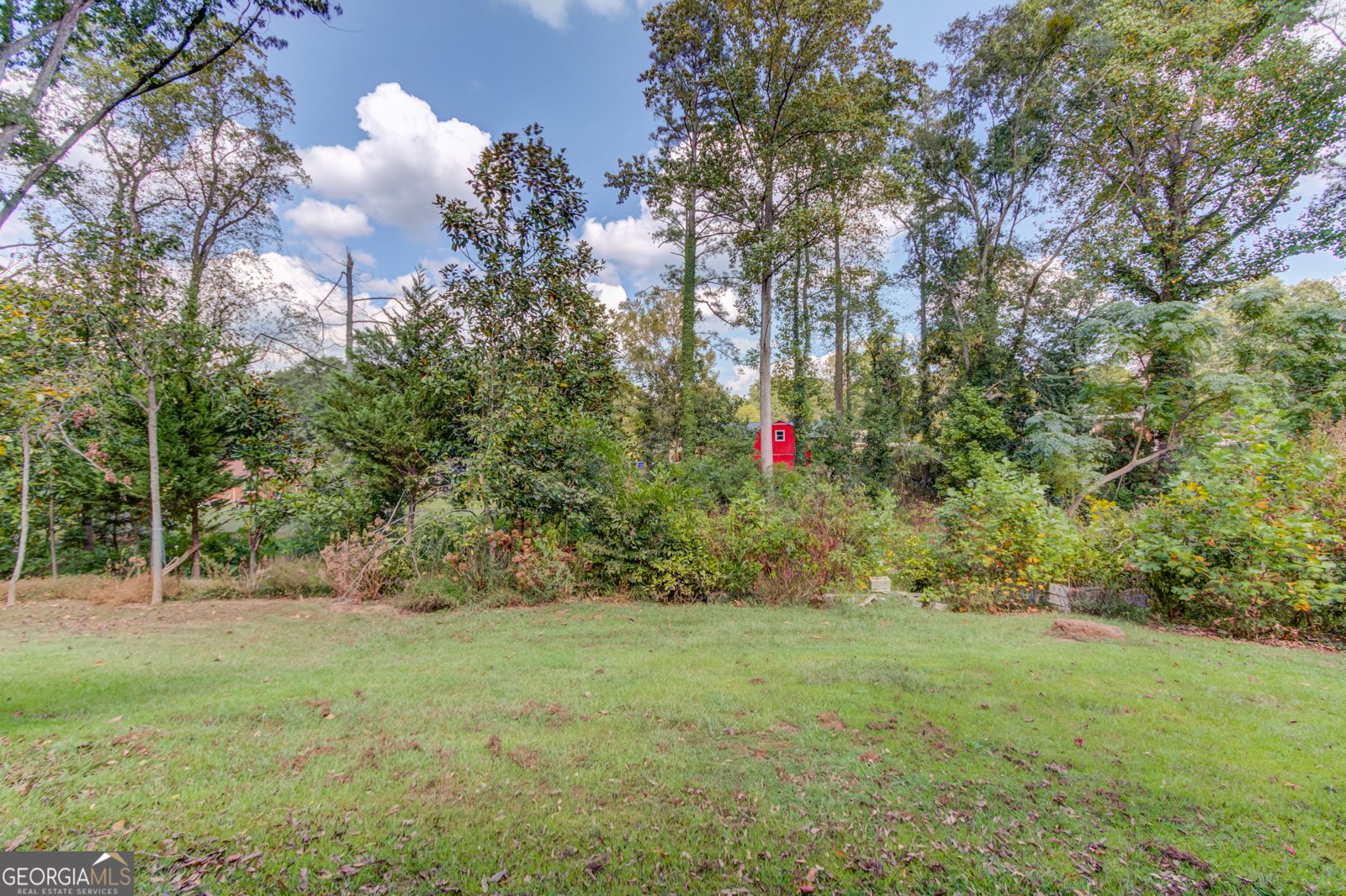 1349 Springwood Drive Conyers - 46
