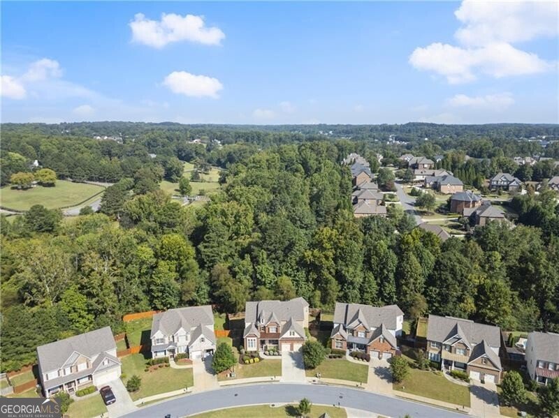 5820 Zelkova Drive Cumming - 42