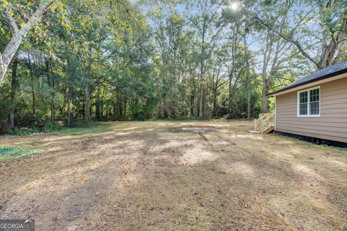 717 Wedowee Street Bowdon - 26