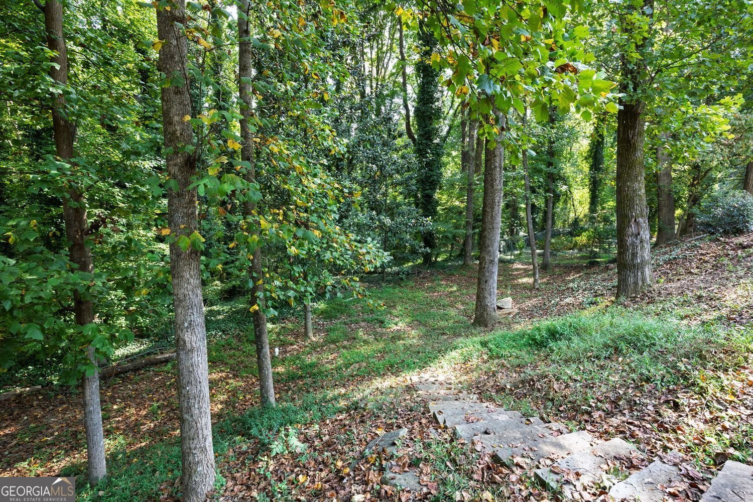 3947 Green Forest Parkway Smyrna - 28