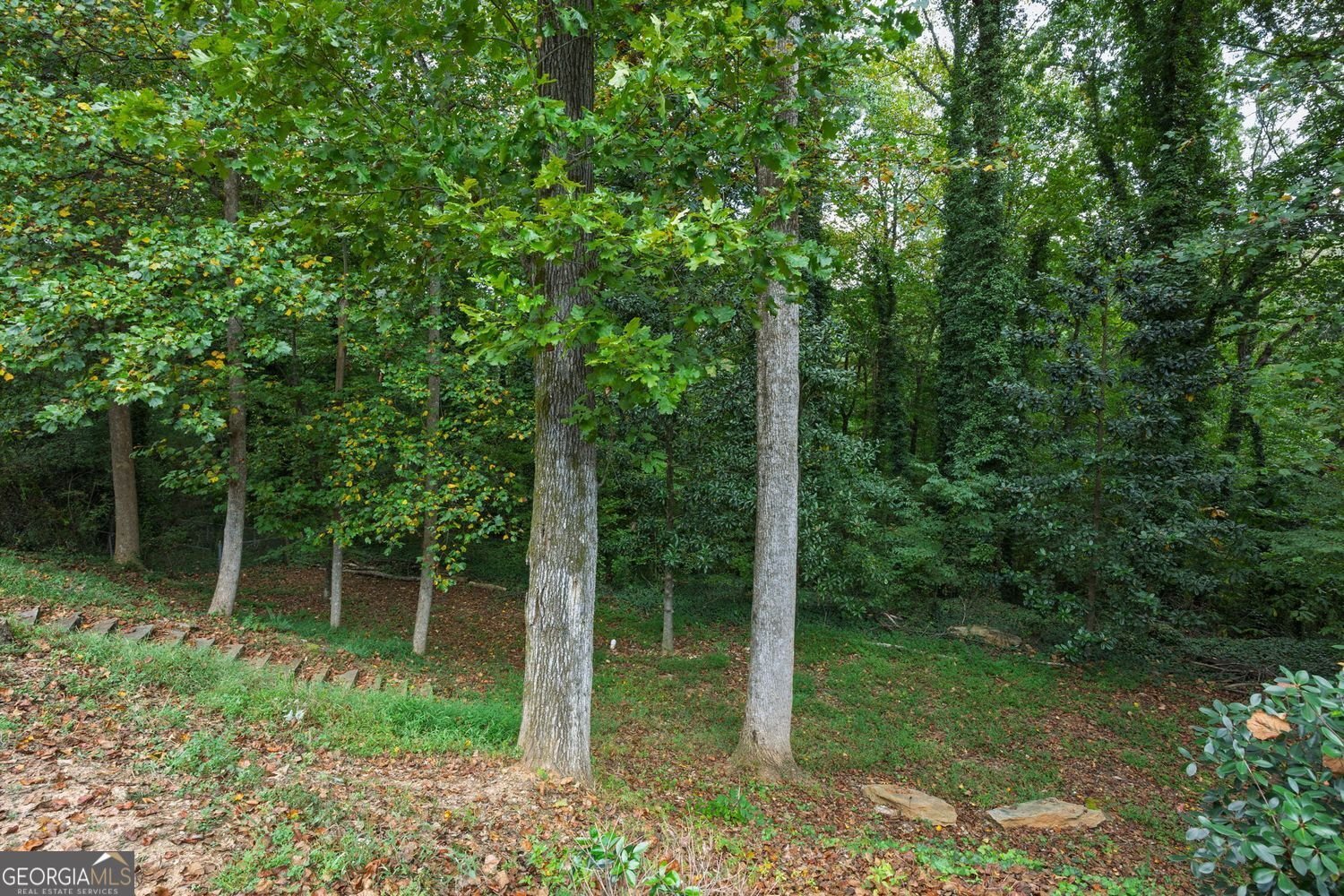 3947 Green Forest Parkway Smyrna - 33