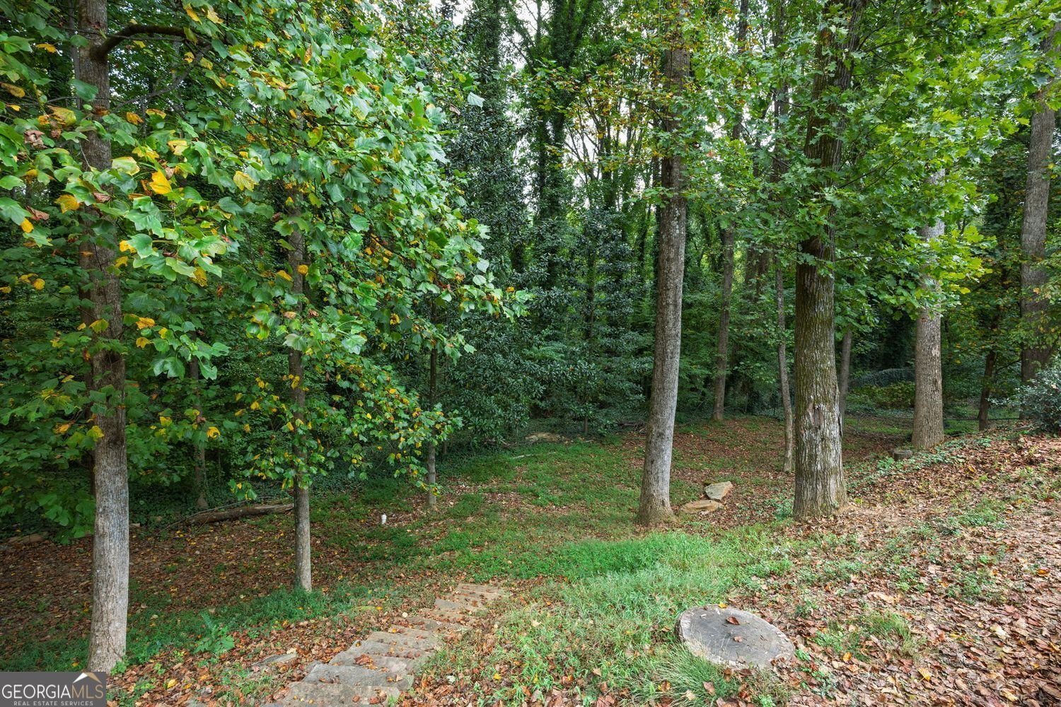 3947 Green Forest Parkway Smyrna - 34