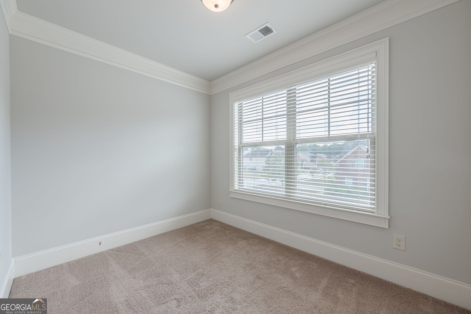 207 Birchwood Drive Loganville - 22