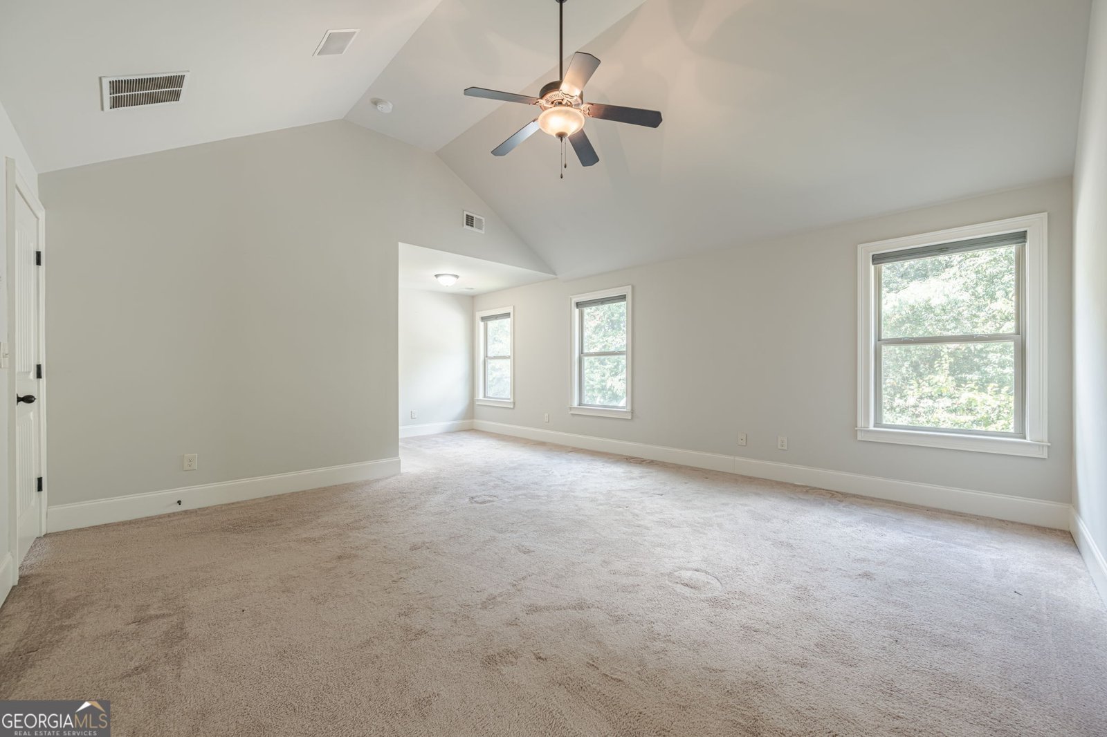 207 Birchwood Drive Loganville - 37