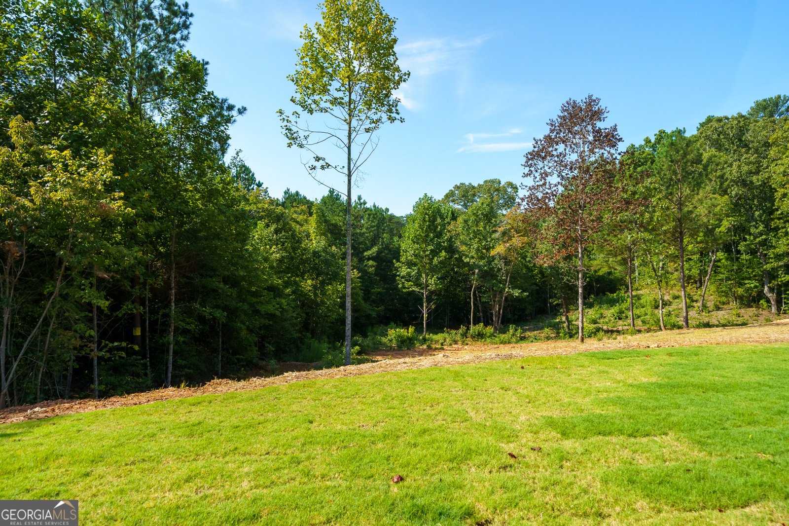 953 Roundtop Road Ellijay - Photo 55