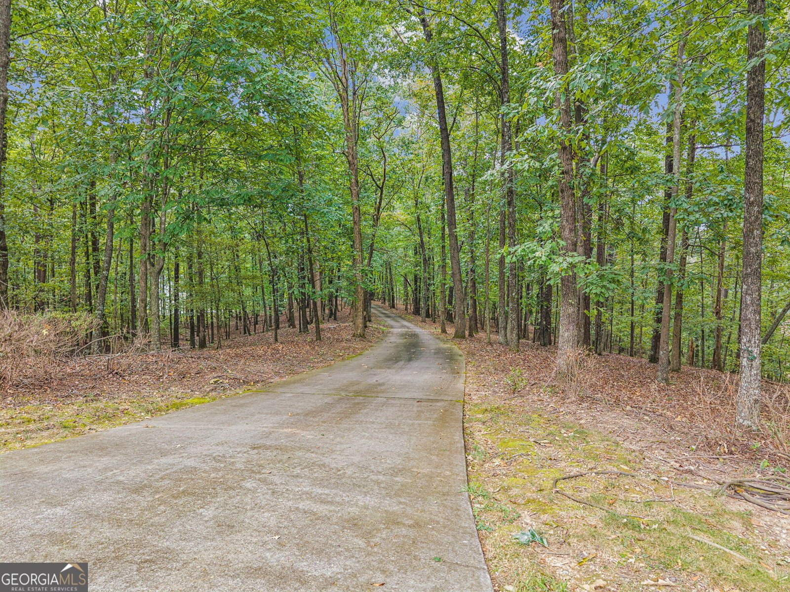 4416 Wedgewood Lane Cohutta - 80