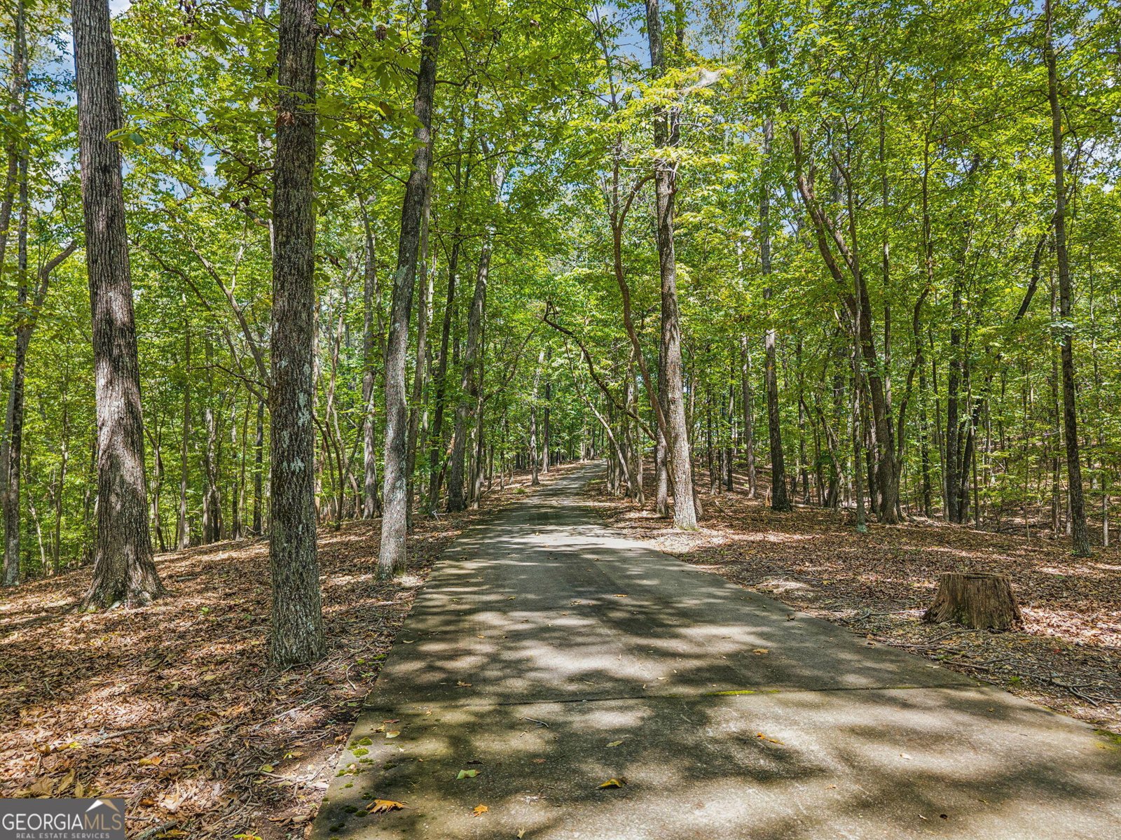 4416 Wedgewood Lane Cohutta - 82