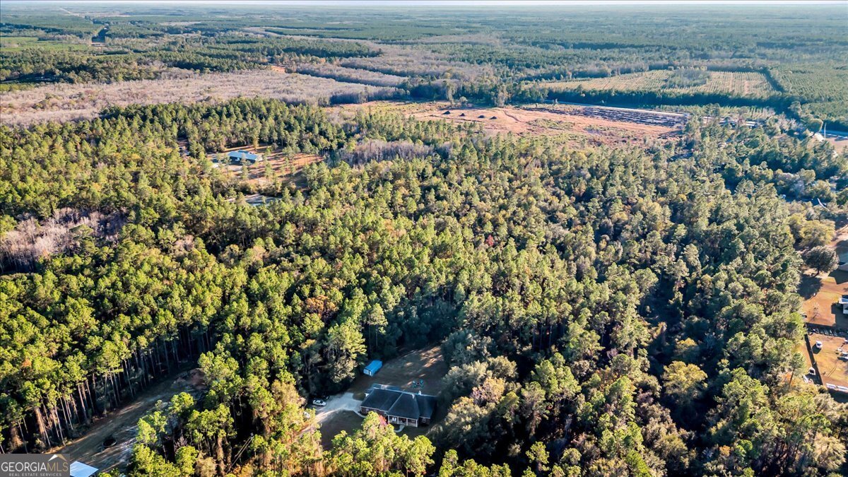 1513 Old Macon Darien Road Ludowici - 45