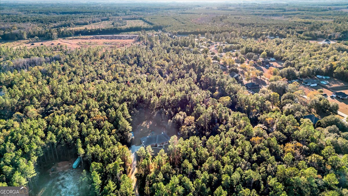 1513 Old Macon Darien Road Ludowici - 46