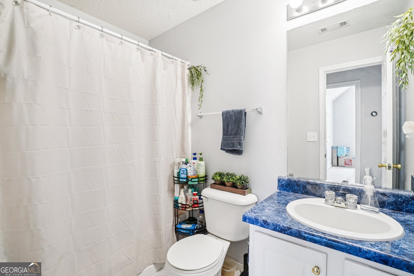 3945 Crowned Eagle Douglasville - 20