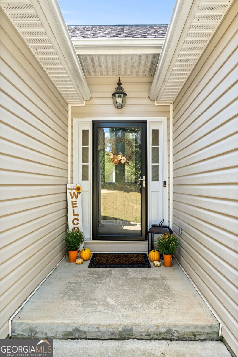 1236 County Line Road Griffin - 4