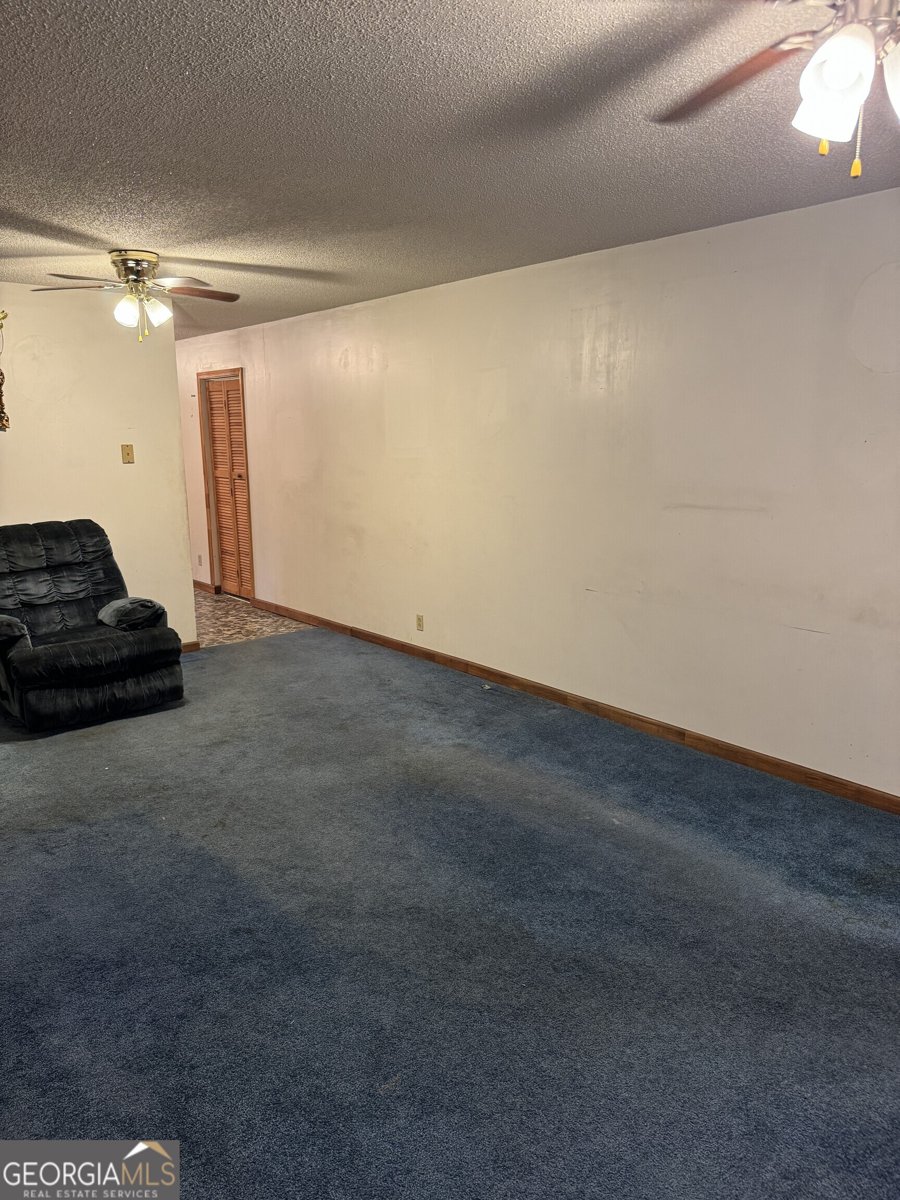 1936 Cedar Grove Road Soperton - 26