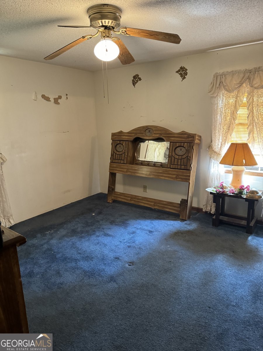 1936 Cedar Grove Road Soperton - 37