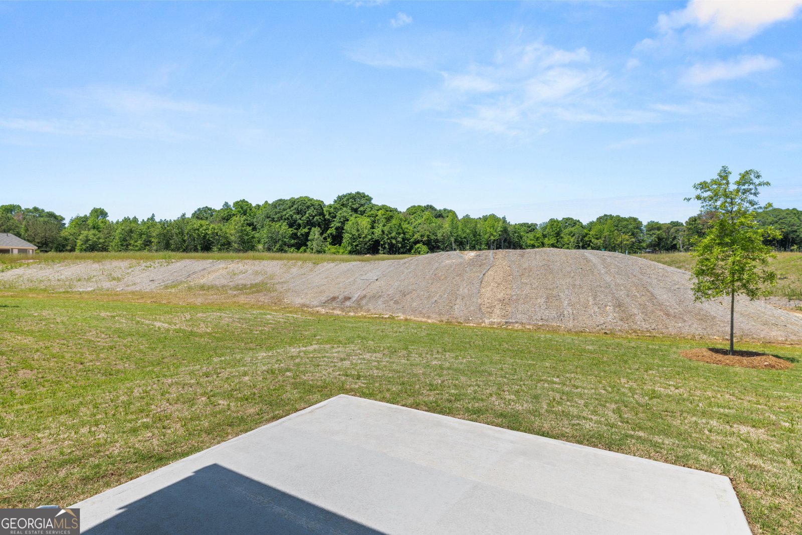 411 Sunflower street Drive Conyers - Photo 24