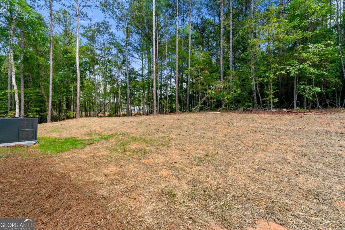 404 Thomas Drive Eatonton - 29