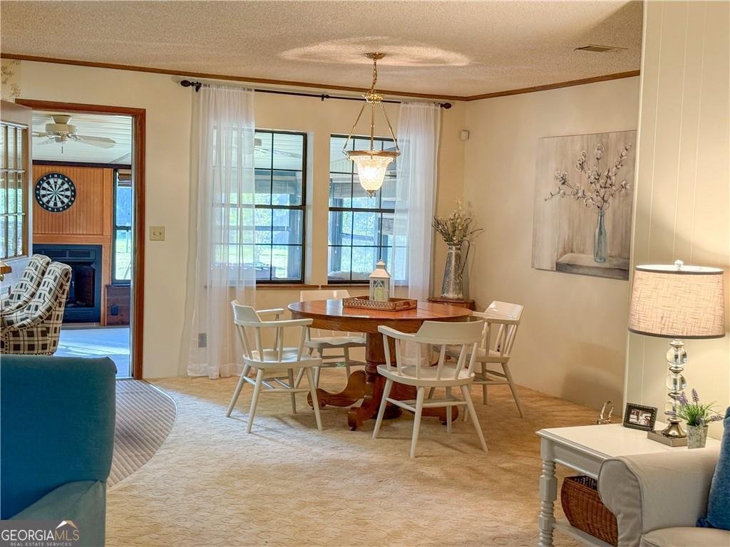 220 Arthur Knowles Road Folkston - 11