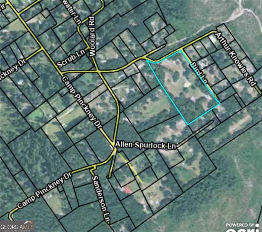 220 Arthur Knowles Road Folkston - 2