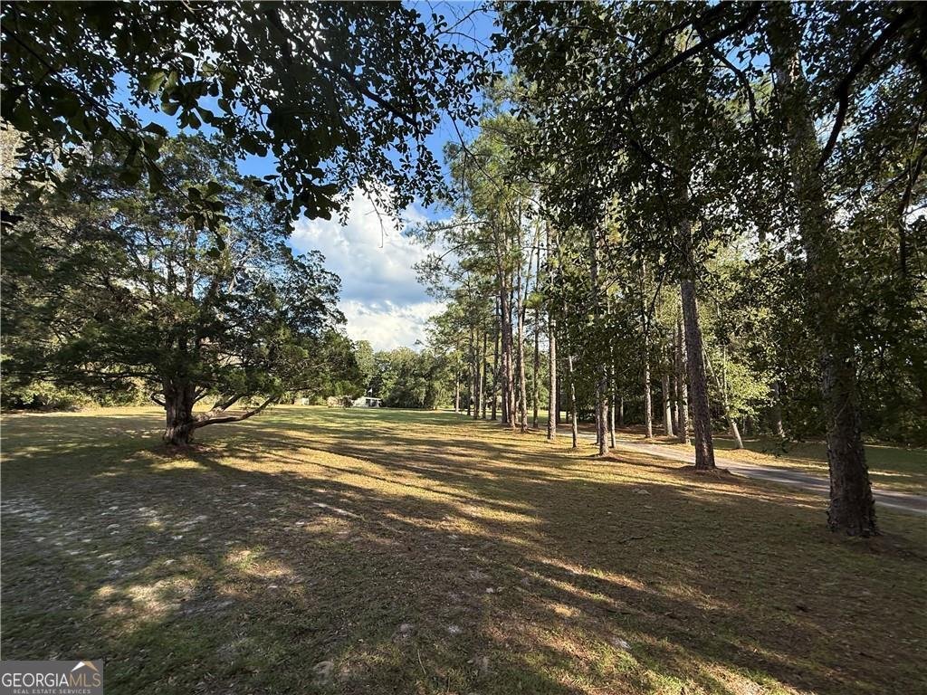 220 Arthur Knowles Road Folkston - 33