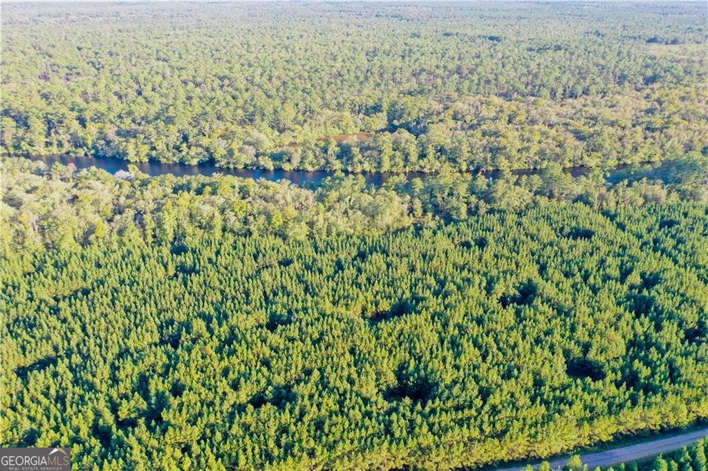 220 Arthur Knowles Road Folkston - 57