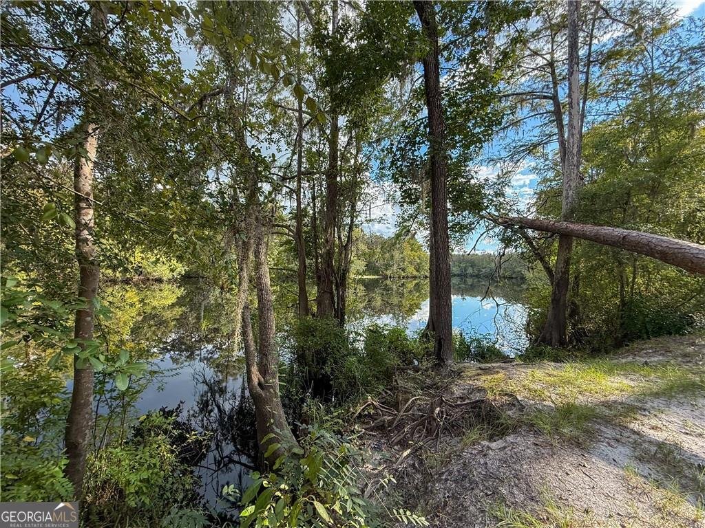 220 Arthur Knowles Road Folkston - 59