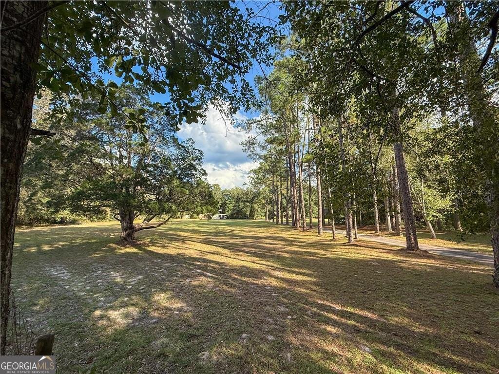 220 Arthur Knowles Road Folkston - 60