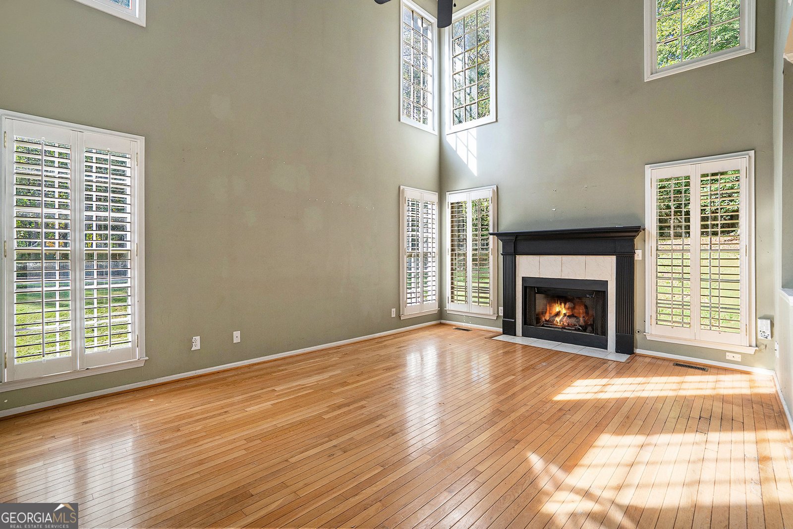 1001 Deer Hollow Drive Woodstock - 8