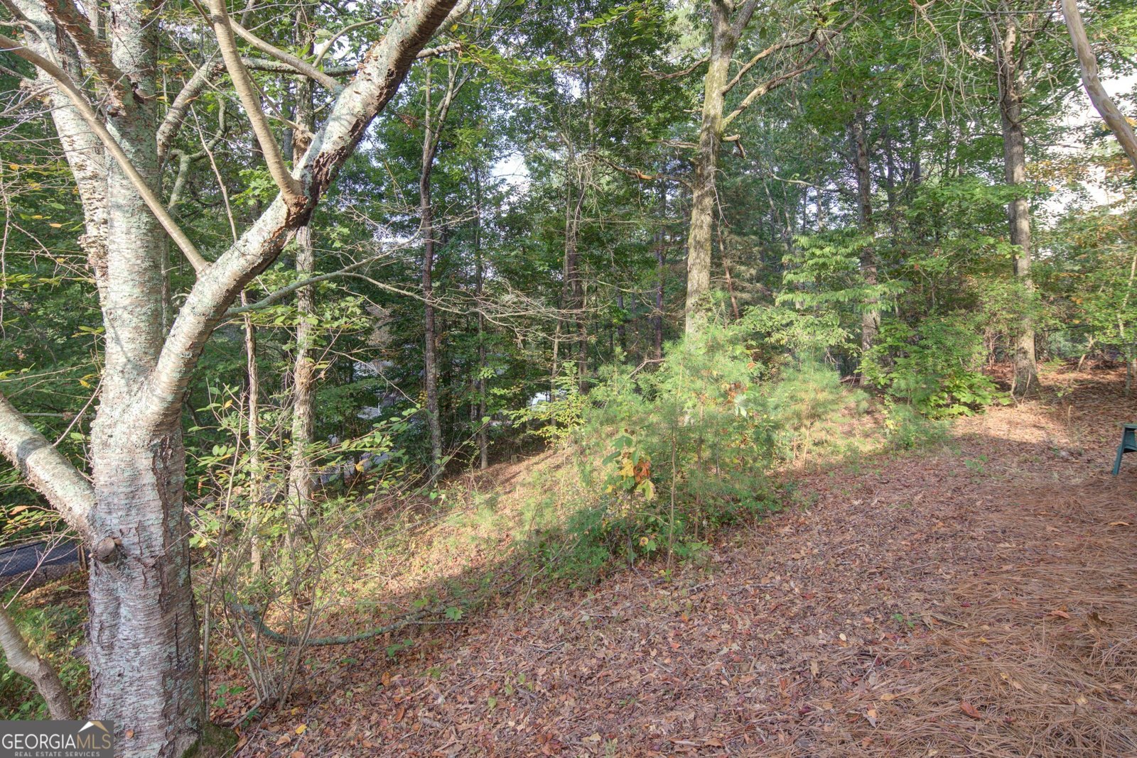 1170 Calhoun Road Dahlonega - 25
