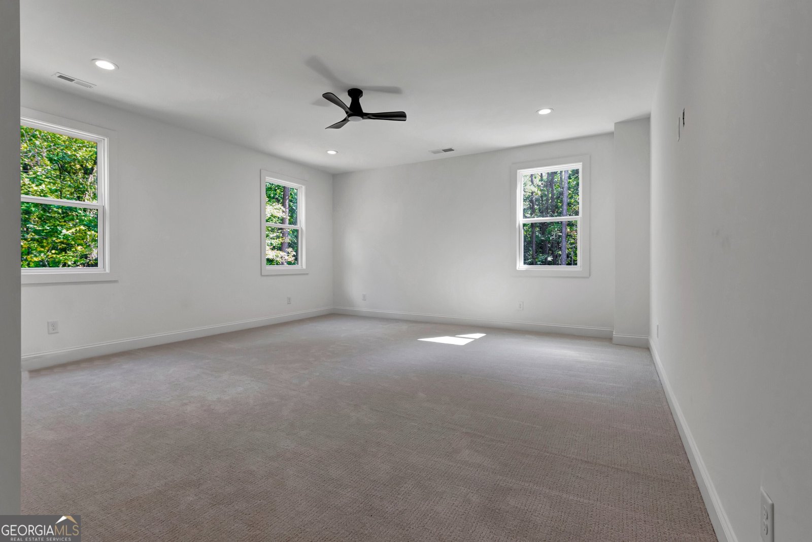604 Morgan Mill Road Senoia - 17
